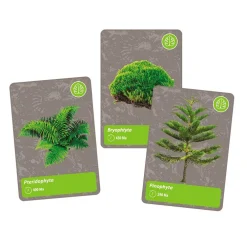 Best Clementoni Videnskabssæt - Historien om livet på jorden