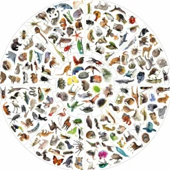 Online educa Vildkatten - Animals