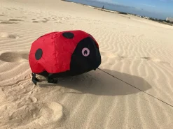 Vindmagi - Hoppende mariehøne (40 x 40 cm.)