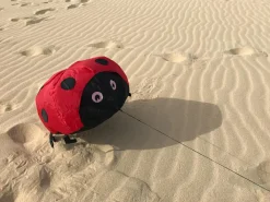 Vindmagi - Hoppende mariehøne (40 x 40 cm.)