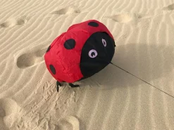 Vindmagi - Hoppende mariehøne (40 x 40 cm.)